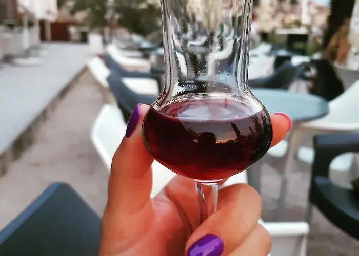 Manuela Apartman Sibenik